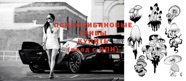 гидропоника Лагань