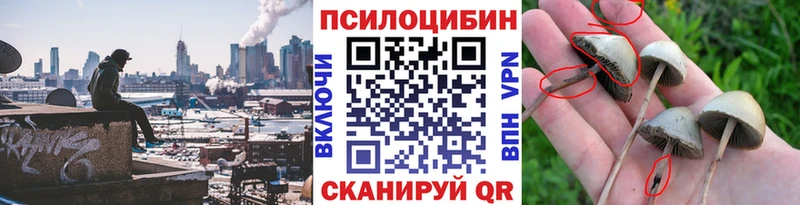 Псилоцибиновые грибы Cubensis  Яранск 